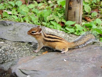 夏の北海道へ☆知床→釧路へGO！（釧路編）