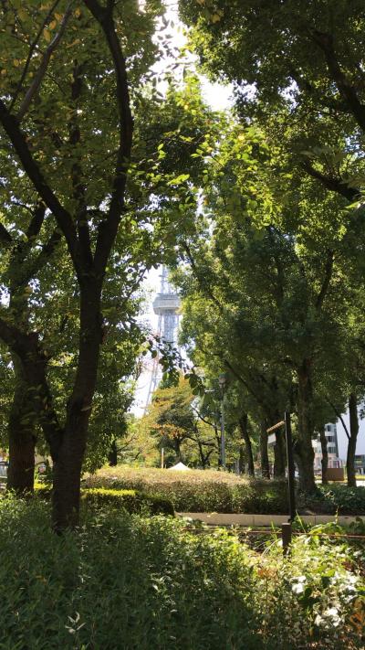 ソーシャルタワーマーケットでお買い物