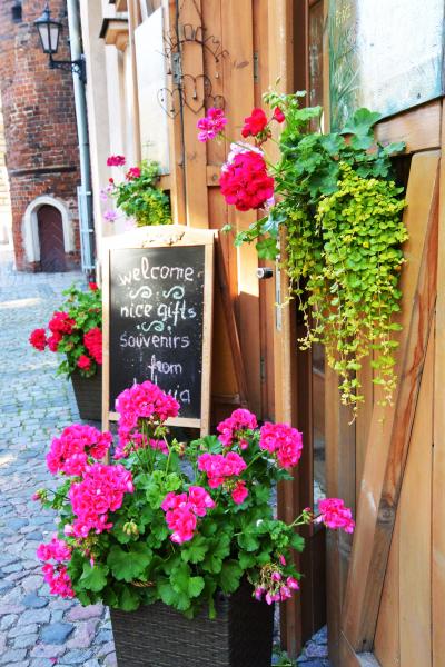 Riga の街を歩いてみた　②  /  タリンとはどう違う？