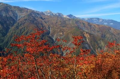 錦秋の白馬紀行①白馬五竜高山植物園 2017年