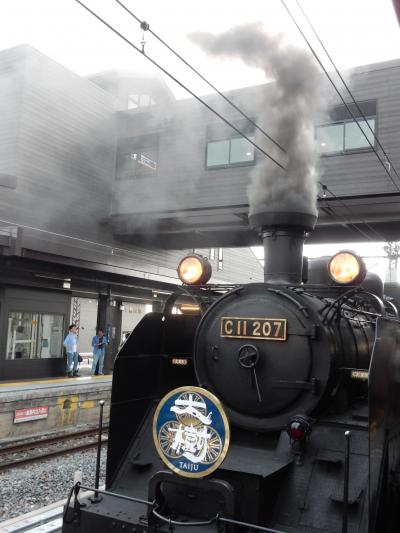 東武のSL列車「大樹」に乗って、月あかり天回廊へ