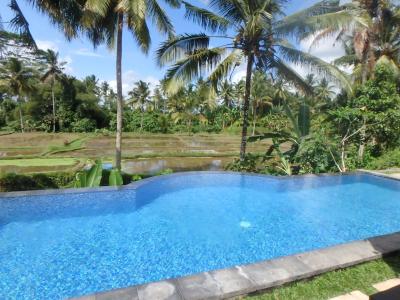 乾季のバリでディープなヴィラめぐり （８泊１０日） Vol.12 【Day 9・Villa Gusku】