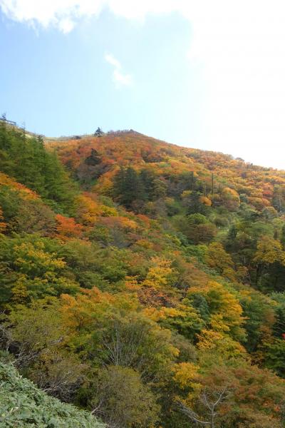 &#39;17 また行ってきました！「紅葉の剣山＆ジロウギュウ」