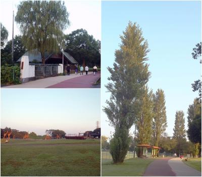 早朝散歩＠健康福祉村 (2017.10.09)  　　　　　　