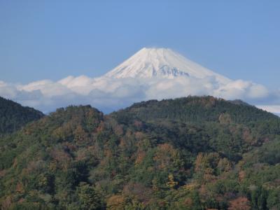 ぐーたらにゃんこの国内旅行記　日帰りバス旅行～柿田川湧水群