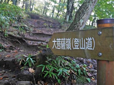 念願の大菩薩峠～大菩薩嶺を歩く！