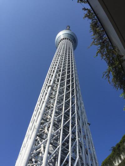 秋晴れの空の塔から長い影～東京スカイツリー