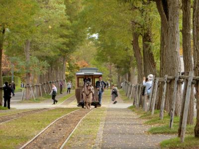 JAL修行を兼ねて、札幌