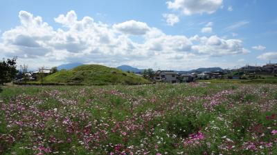 秋色の斑鳩路を行く　法隆寺から河内安福寺への聖徳太子の御影（歴史秘話ヒストリア放送に寄せて） 