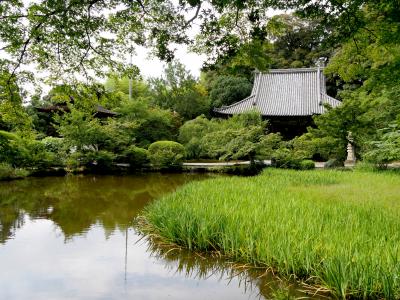 2017.7フィンランドの友人と奈良・京都へ5-法隆寺，長岳寺，奈良ロイヤルホテルに2泊，nanairo terrace