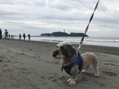 駐在のついでに 日本へ一時帰国 現地速報(2・完)