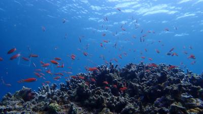 海に癒される