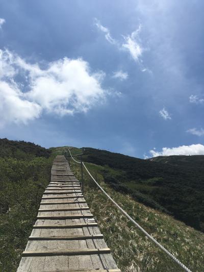 真逆の2人の大山登山