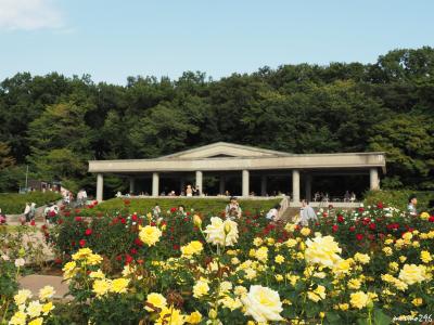 深大寺の白鳳仏（国宝）と神代植物公園の秋バラ