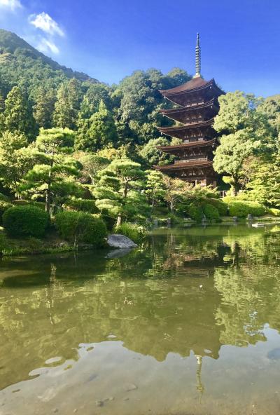 2017バースデー旅行！名探偵コナン幕末維新やまぐちミステリーツアー(前編)