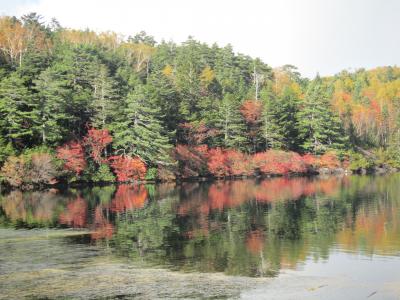 紅葉の白駒池とにゅう登山（2回目のテント泊）