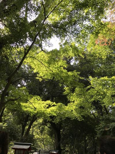 秋の高尾山プチハイキング