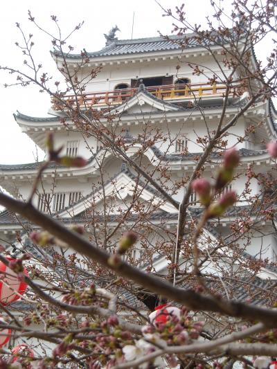 お花見　福山城公園