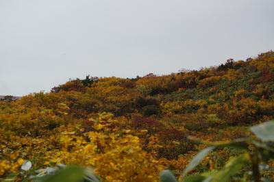 黄葉を求めて須川高原へ行きましたが・・・・。