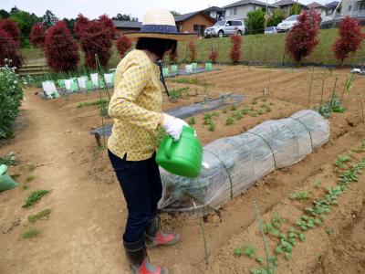 １７．ＧＷ後半のＨＶＣ箱根甲子園１泊　箱根仙石原～芦ノ湖スカイライン～三島のドライブその２　三島市佐野体験農園　うなぎと和食処 ひだかのお弁当の昼食