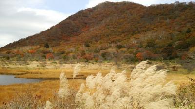 思いきって出かけて大正解「ご朱印ガール」　群馬県・赤城神社参拝