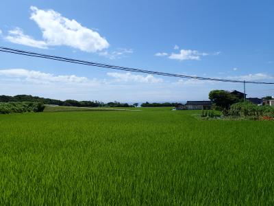 新潟 ～島旅で行く 佐渡島 Vol.3 たらい舟と宿根木、回転ずしで満腹編～