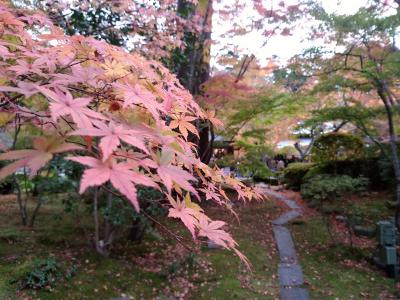 松島と紅葉の円通院