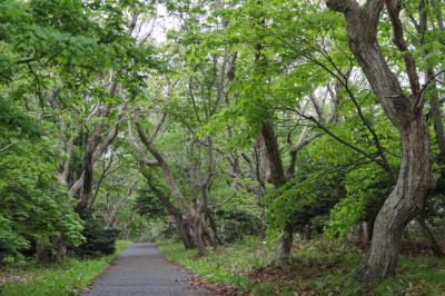 旅する幼児~北海道・焼尻島に行く~前篇