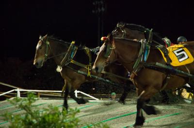 2017年10月8日、帯広ばんえい競馬・・出走！！！！