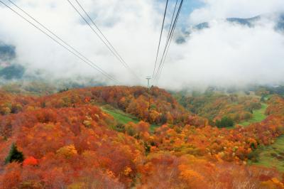 真っ赤な蔵王　ひとり旅で東北紅葉狩り２