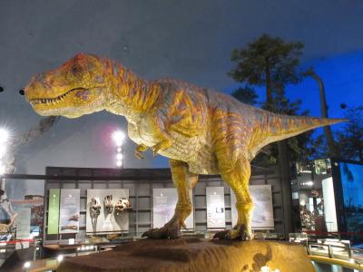 40年ぶりの福井旅