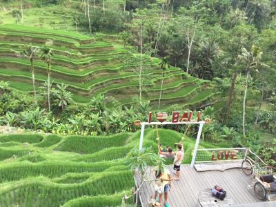 楽しくてお得なカーチャーター