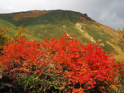 まさに紅葉絶頂の谷川岳　西黒尾根から天神尾根♪