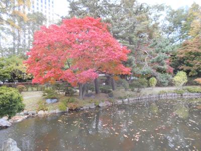 札幌の紅葉散策2017