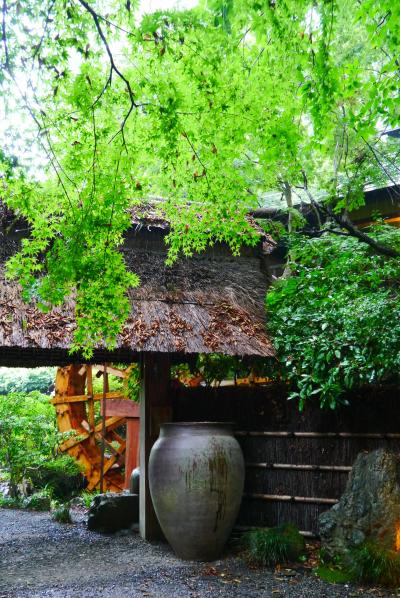 しっぽり、竹林の茶屋へ。