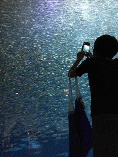 日帰り 名古屋港水族館