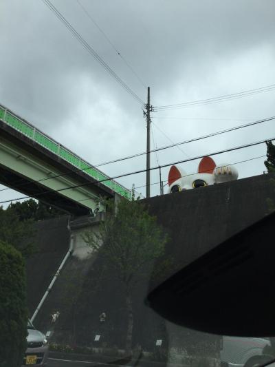 日帰り 知多半島で潮干狩り