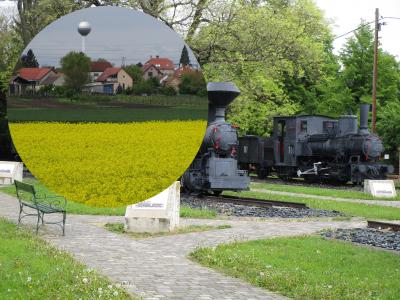 博物館鉄道に乗れセーツェニの生地ナジツェンク