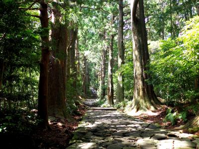 2017 初めての南紀の旅！⑤ 世界遺産に触れる３日目！「真夏の熊野古道を歩いてみました！」