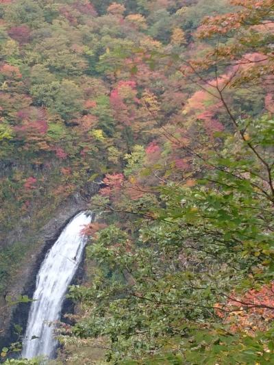 紅葉が見頃(前半)の蔵王 エコーラインをドライブ♪滝見台・御釜・蔵王温泉 ヾ(。>ｖ<。)ノ゛*。