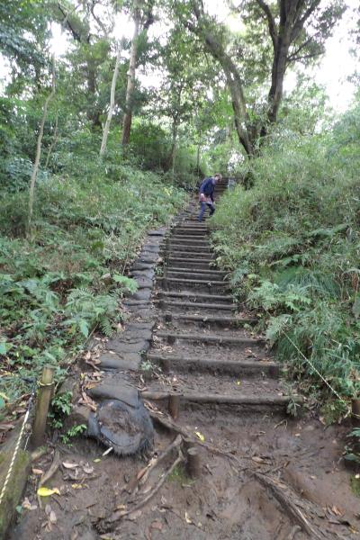 野村総合研究所跡グランドから大仏ハイキングコース