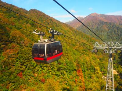 雨続きの中やっと晴れ　谷川岳の紅葉