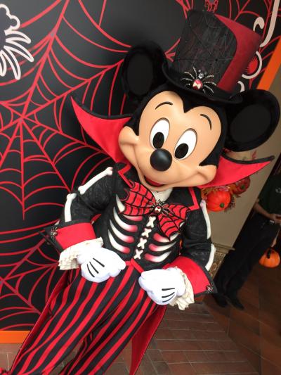 ANA (スタアラ)特典航空券で行く上海ディズニーひとり旅②上海編