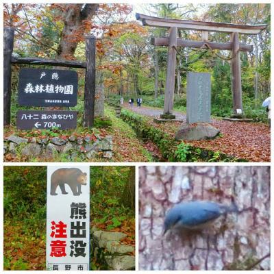 戸隠森林植物園