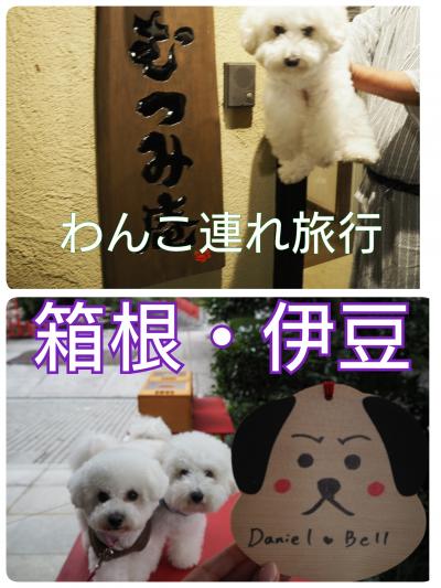 箱根・伊豆　with dogs