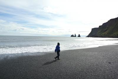 アイスランド3歳&9歳とキャンプ旅(5) 黒い砂浜ヴィークから苔ざんまい、滝ざんまい。