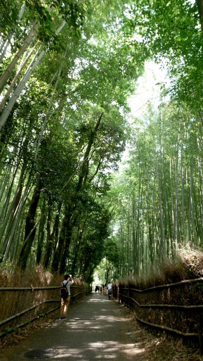 2017.7フィンランドの友人と奈良・京都へ8-嵐山　竹林の小径
