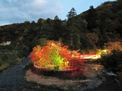 中野もみじ山ツアー　旅のクライマックスはライトアップ！