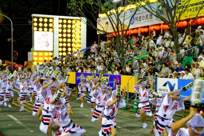 徳島の阿波踊り