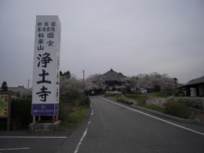 今年廻った寺社